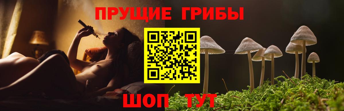 Псилоцибиновые грибы мухоморы  Галлюциногенные грибы Psilocybe  цены наркотик  Вход с VPN  Черняховск 