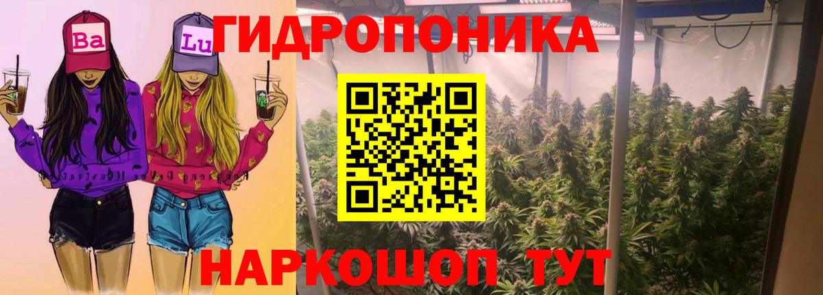 Каннабис марихуана Черняховск